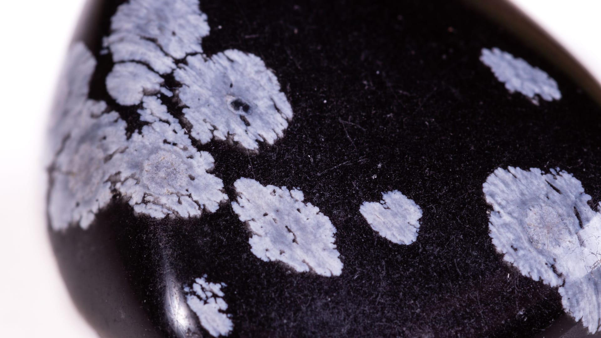 Macro mineral stone snow obsidian on white background