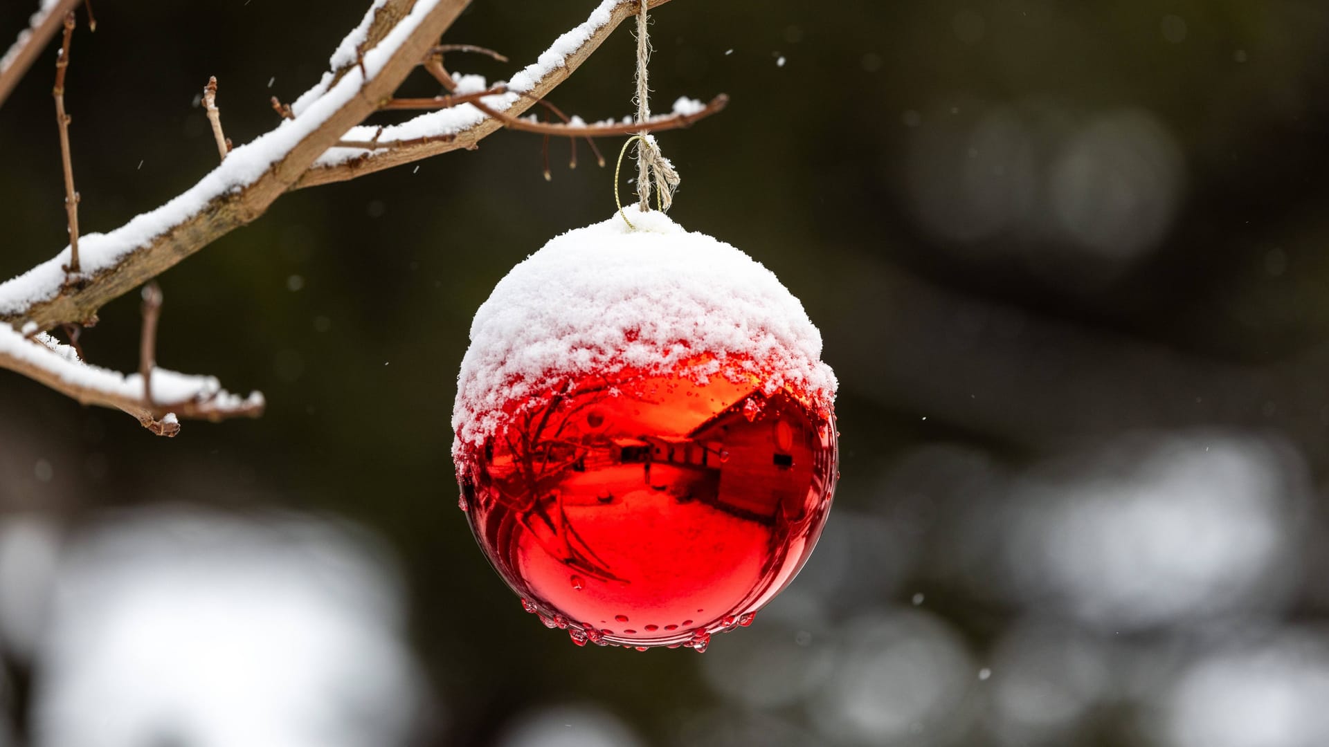 Schnee in Bayern (Archivbild): Die höheren Lagen haben die besten Chancen auf weiße Weihnachten.