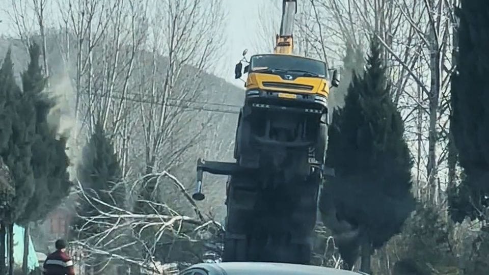 Ein Kranfahrzeug kippt mit einem Baum nach hinten um.