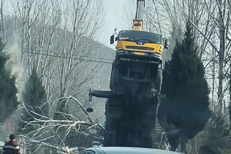 Ein Kranfahrzeug kippt mit einem Baum nach hinten um.