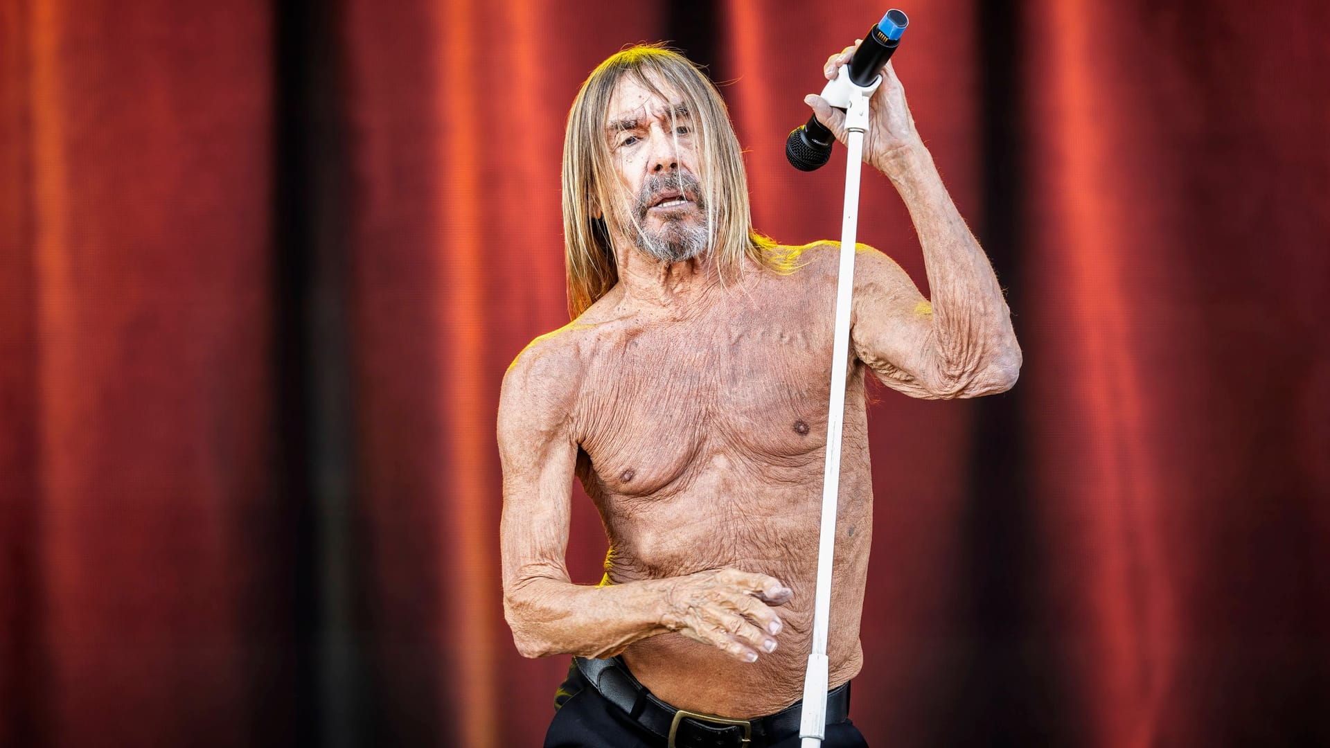 Iggy Pop live bei einem Konzert (Archivbild): Der 77-Jährige schaut im kommenden Sommer mal wieder in Hamburg vorbei.