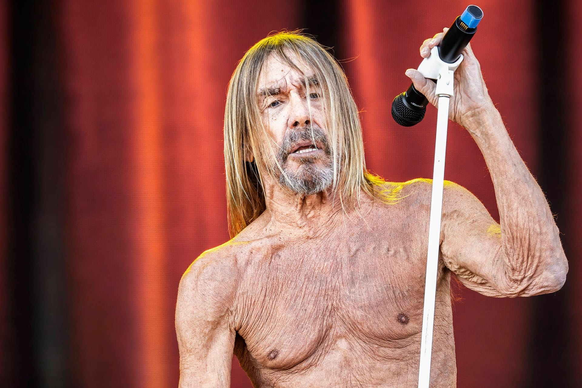 Iggy Pop live bei einem Konzert (Archivbild): Der 77-Jährige schaut im kommenden Sommer mal wieder in Hamburg vorbei.