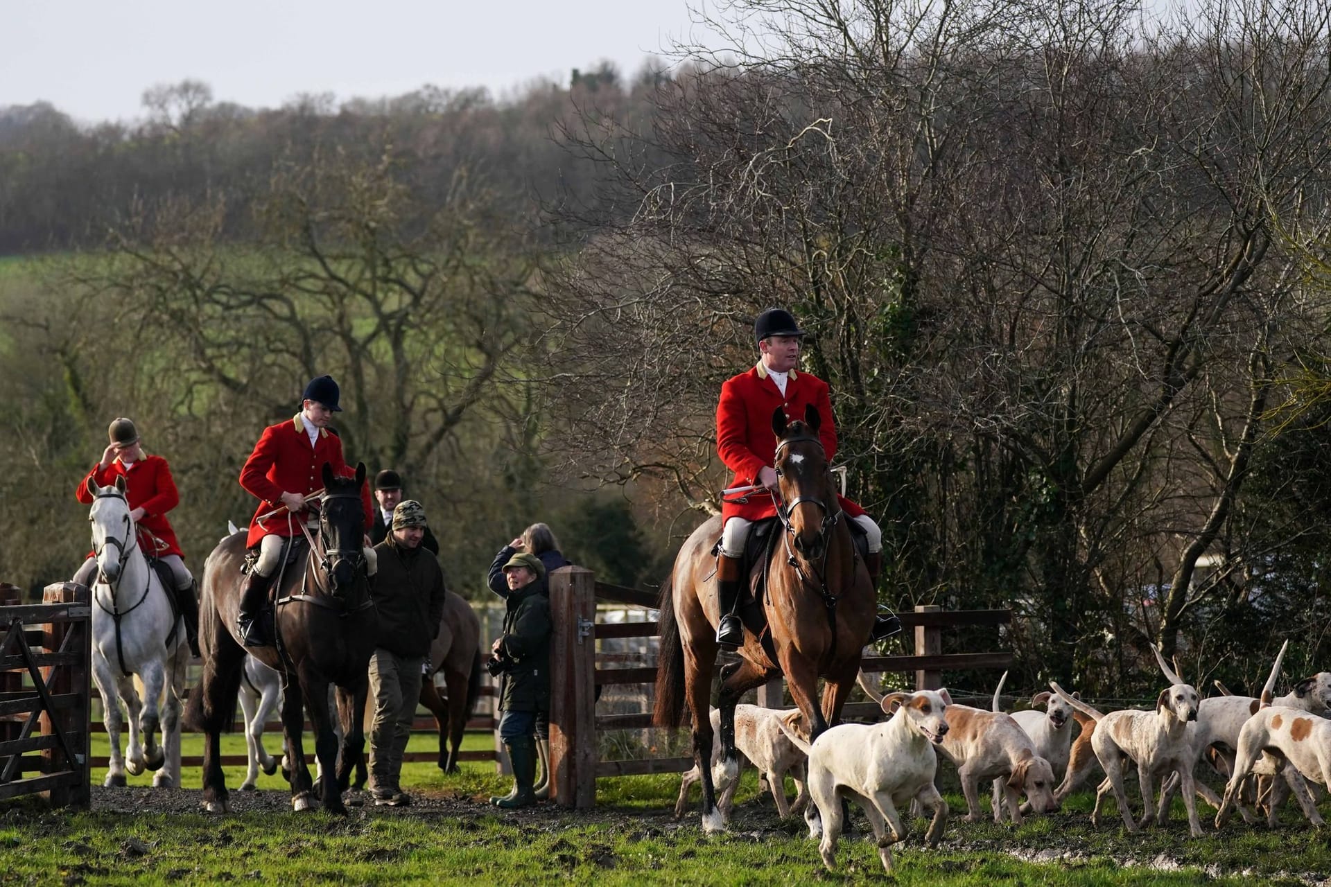 Boxing Day-Jagd in Großbritannien