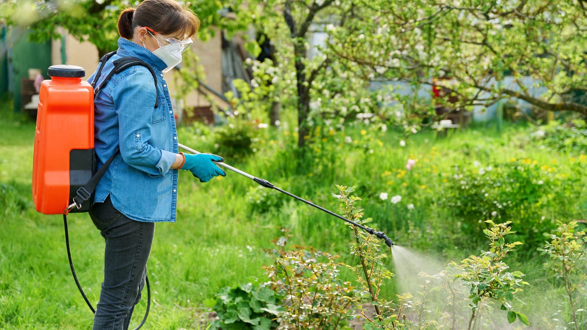 1404004393Gartenarbeit: Die Neuerungen sollen sowohl den Menschen als auch die Natur schützen.