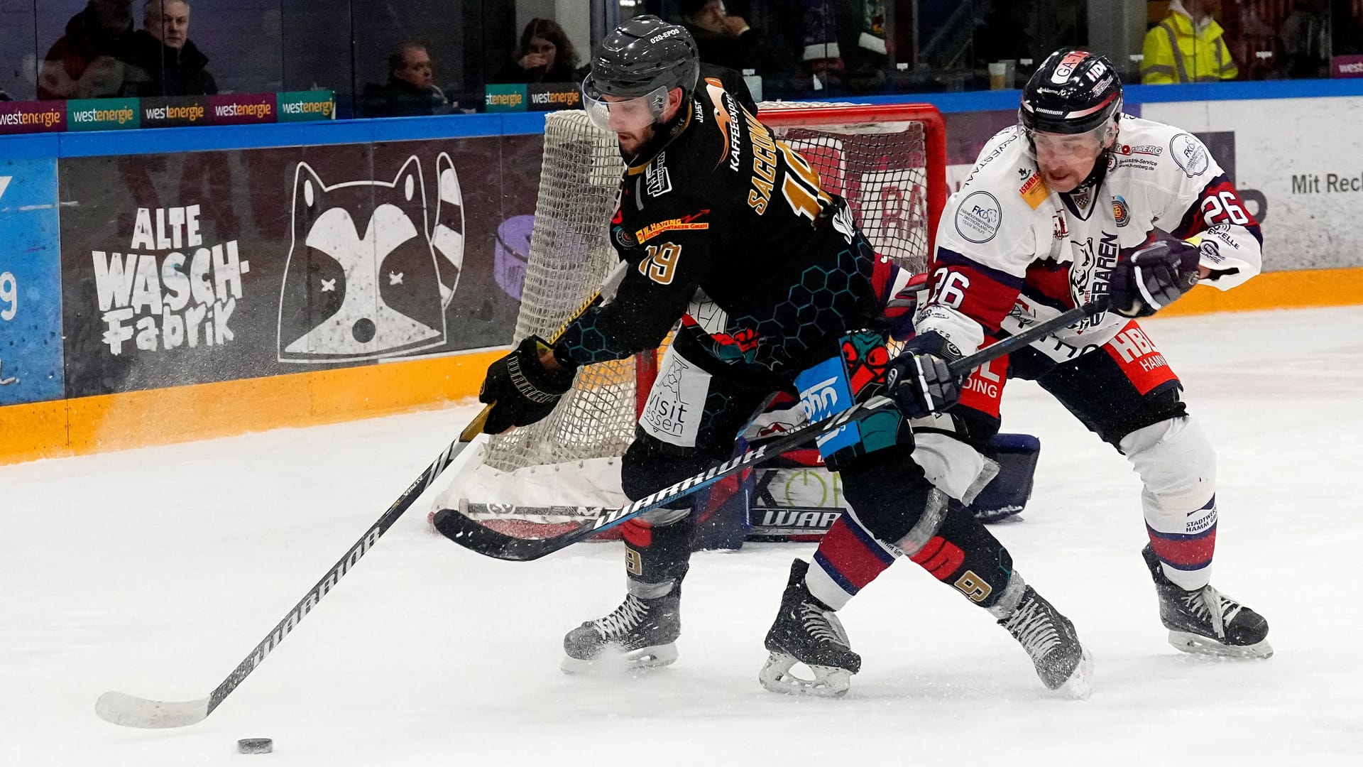 Enrico Saccomani von den ESC Wohnbau Moskitos im Spiel gegen Dominik Lascheit von den Hammer Eisbären.