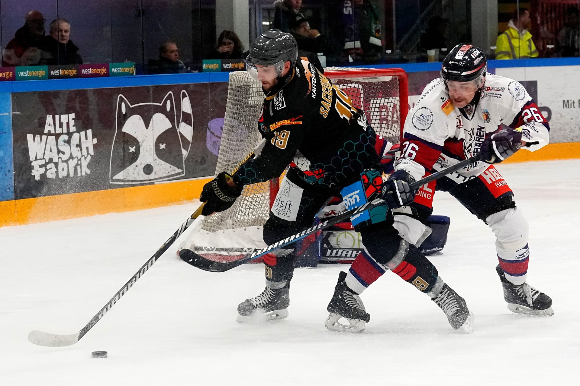 Enrico Saccomani von den ESC Wohnbau Moskitos im Spiel gegen Dominik Lascheit von den Hammer Eisbären.