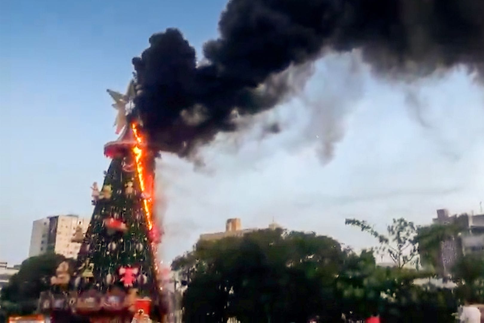 Ein Weihnachtsbaum steht in Flammen