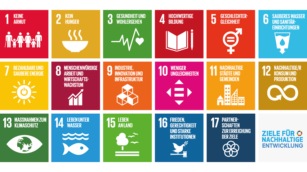 Die siebzehn Nachhaltigkeitsziele der Vereinten Nationen (SDGs) setzen den Rahmen für eine weltweite Entwicklung, die ökologische, soziale und wirtschaftliche Verantwortung miteinander verbindet – für eine nachhaltige und gerechte Zukunft.