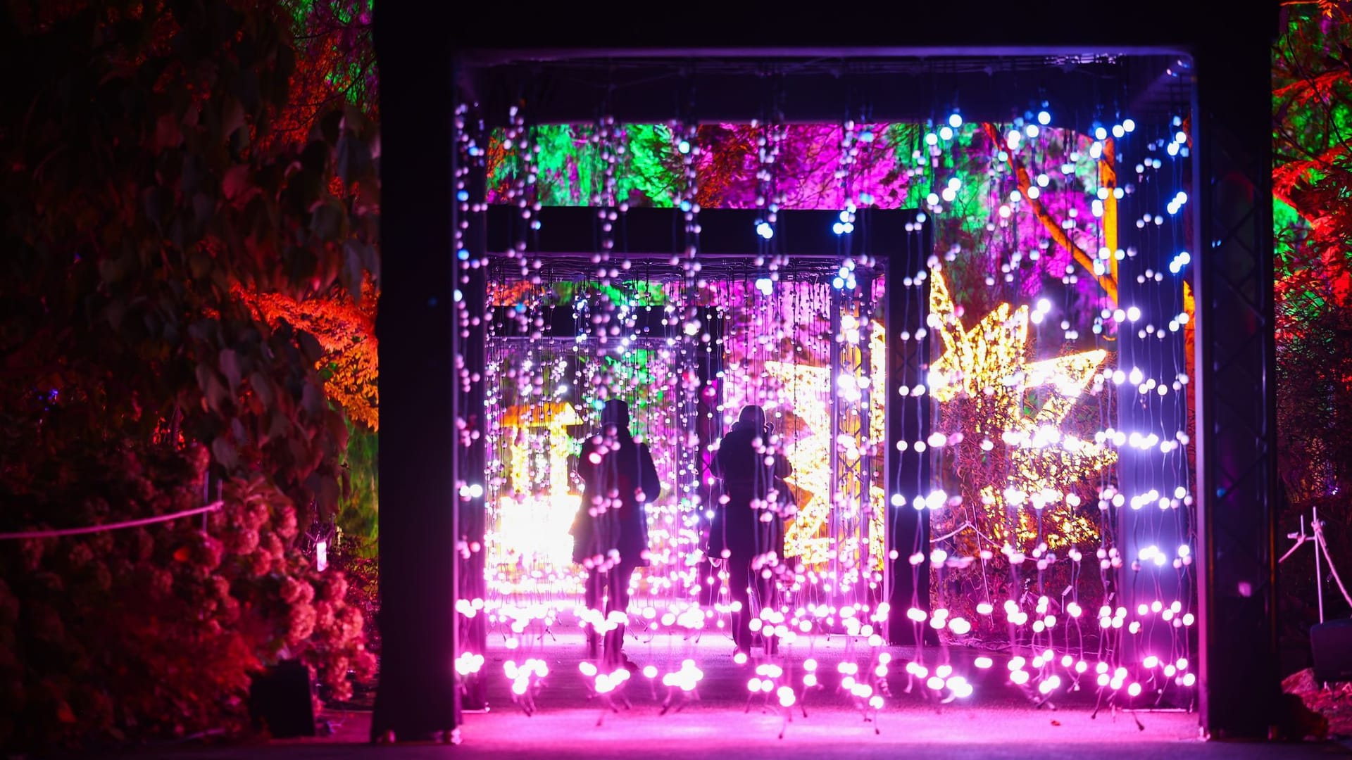 Besucher machen Fotos der Lichtinstallation im Christmas Garden Hamburg: Je nach Besuchszeit kann es im Loki-Schmidt-Garten voll werden.