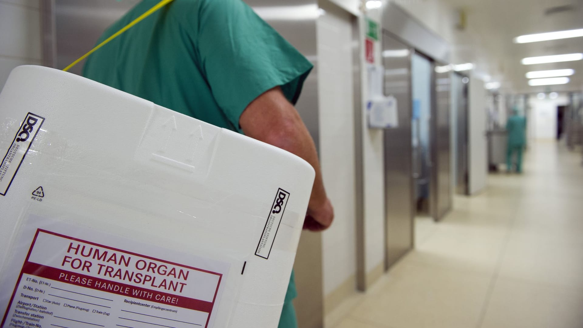Organspende Organspende