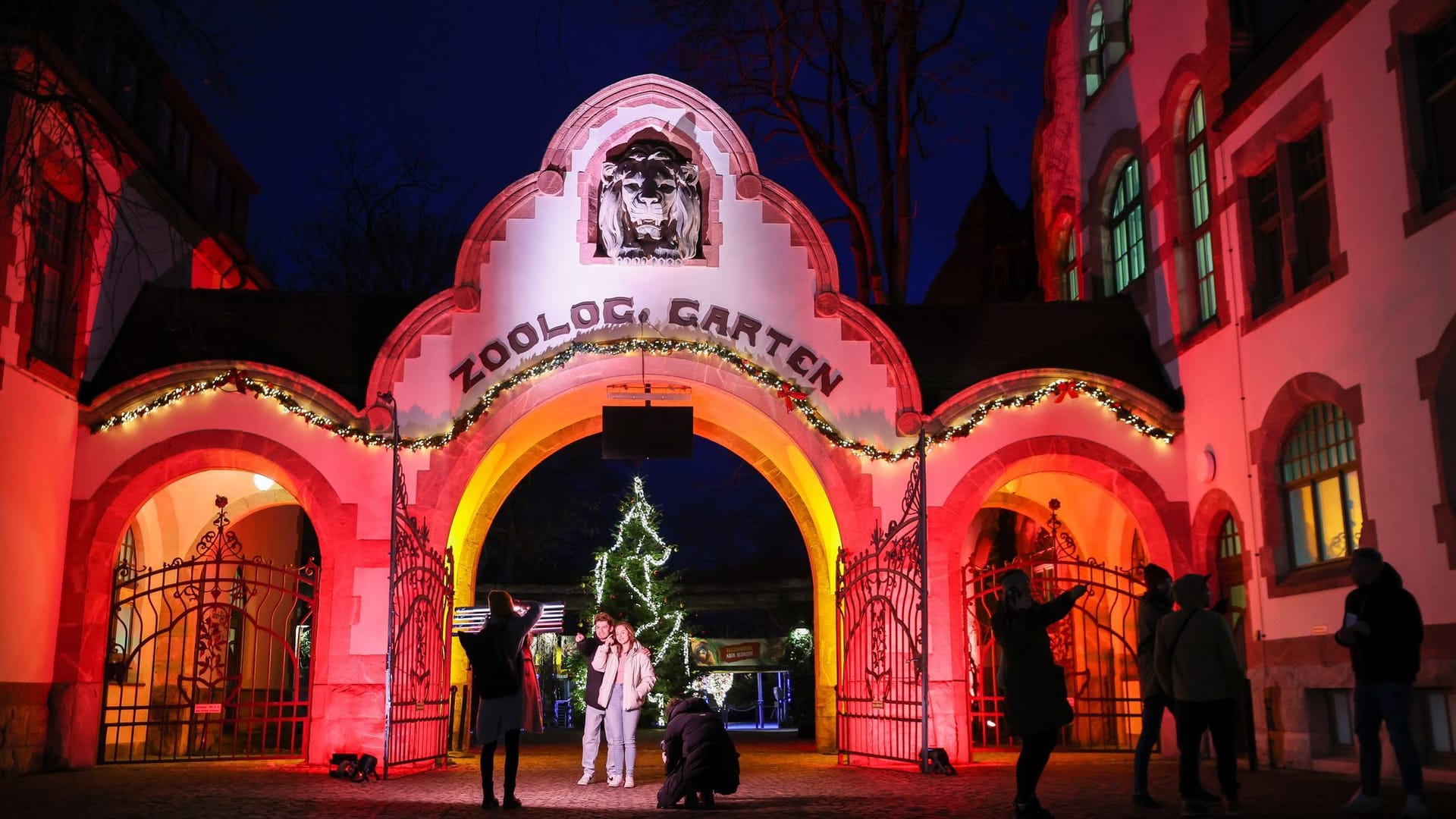 "Magisches Tropenleuchten" im Zoo Leipzig