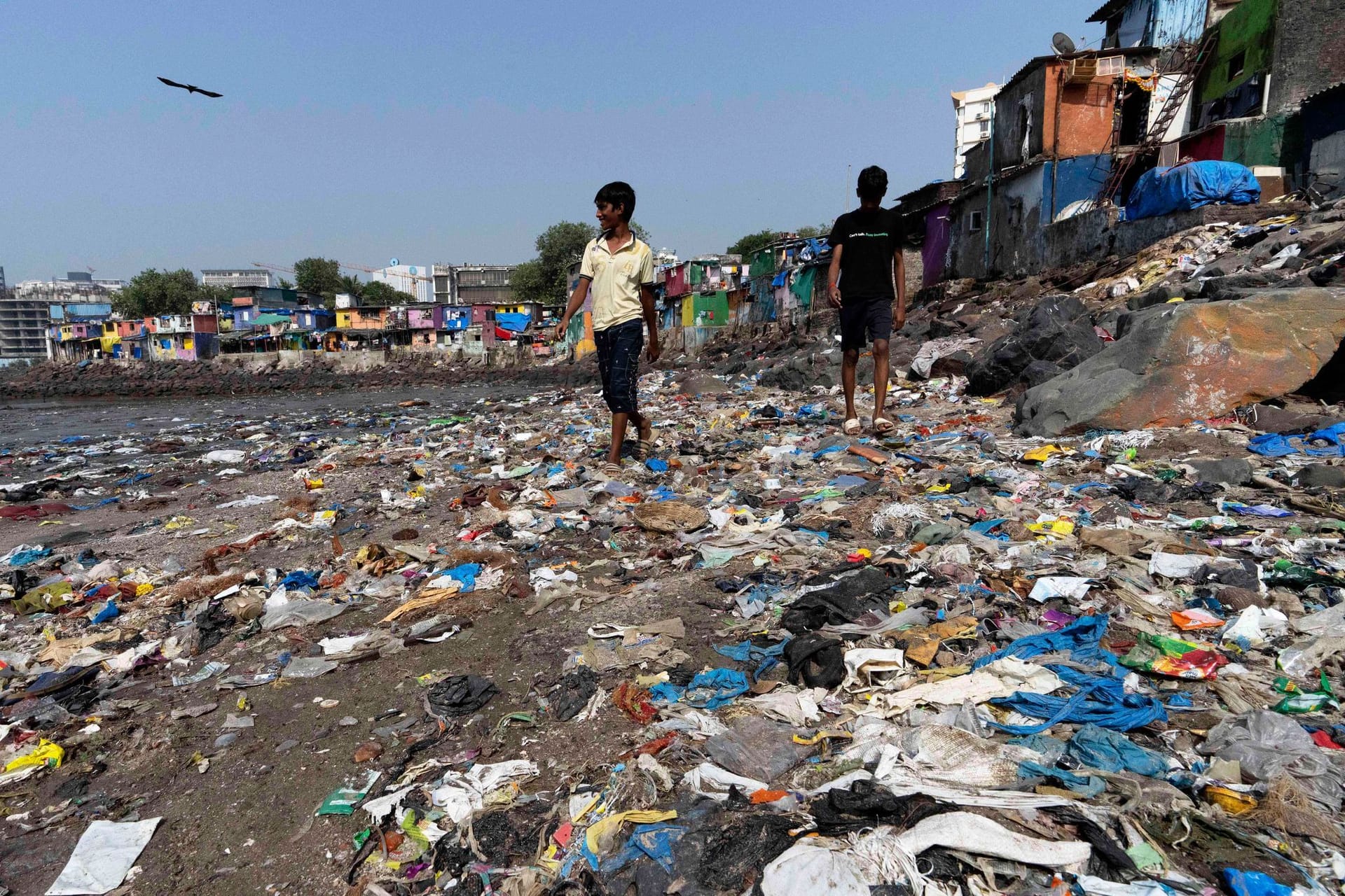 Umweltverschmutzung in Indien