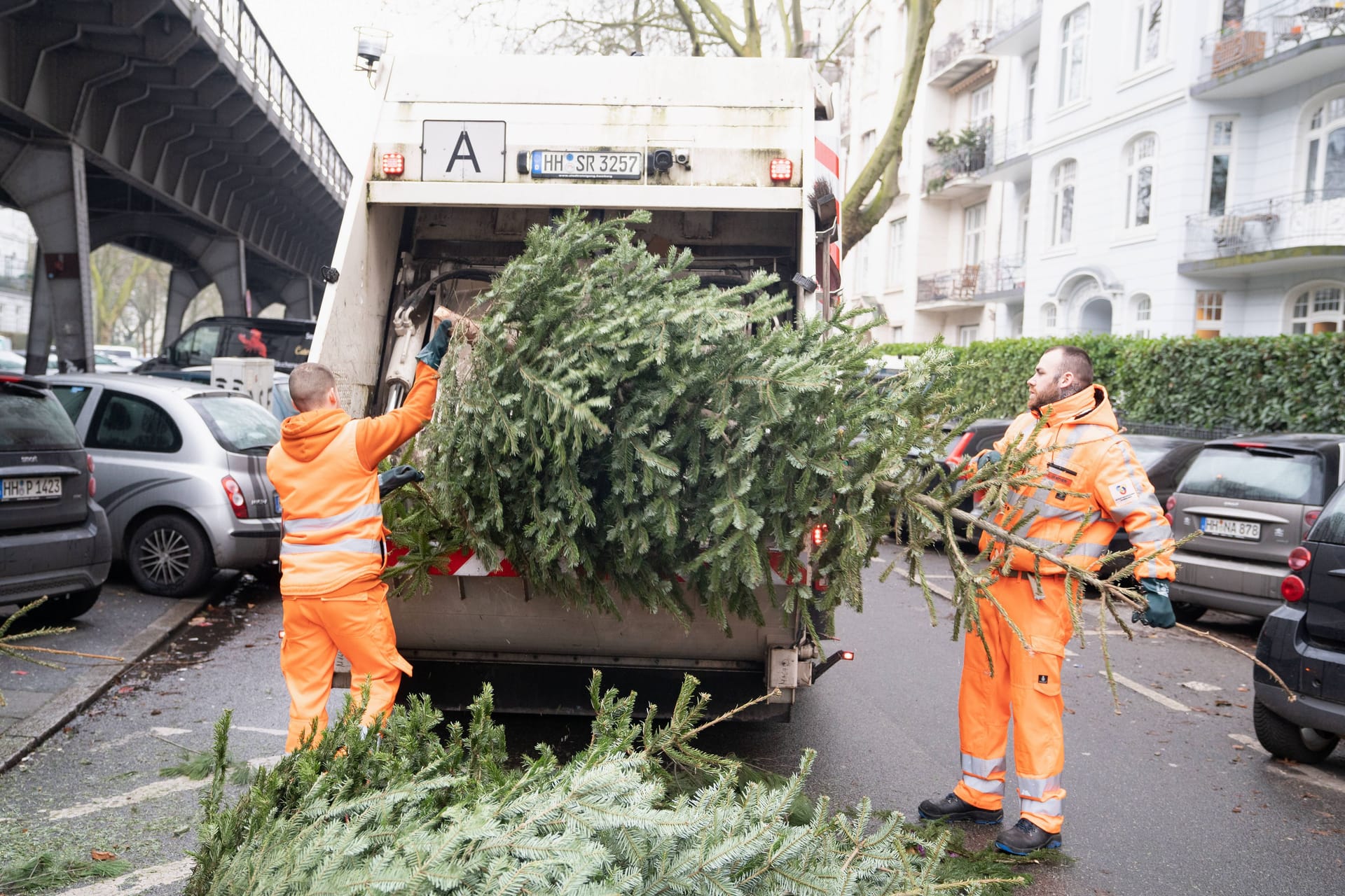 Mitarbeiter der Stadtreinigung Hamburg entsorgen Weihnachtsbäume (Archivbild): Für jeden Stadtteil gibt es mehrere Termine.