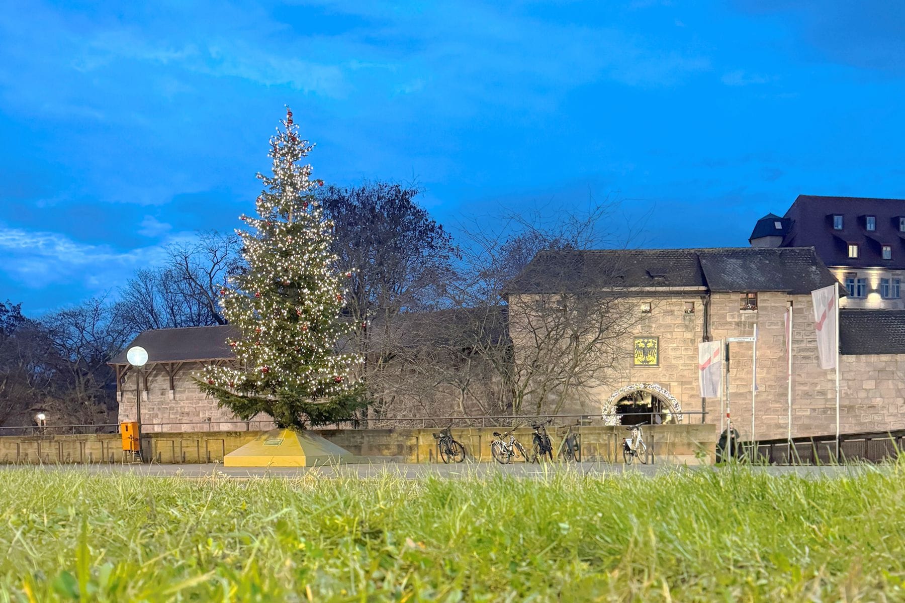 Der Weihnachtsbaum am Bahnhofsplatz: Tausende Lichter schmücken ihn.