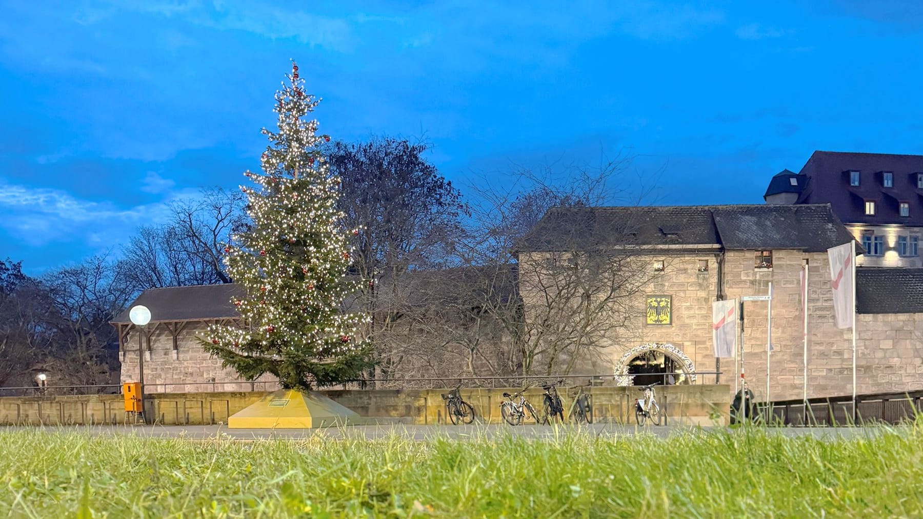 Der Weihnachtsbaum am Bahnhofsplatz: Tausende Lichter schmücken ihn.