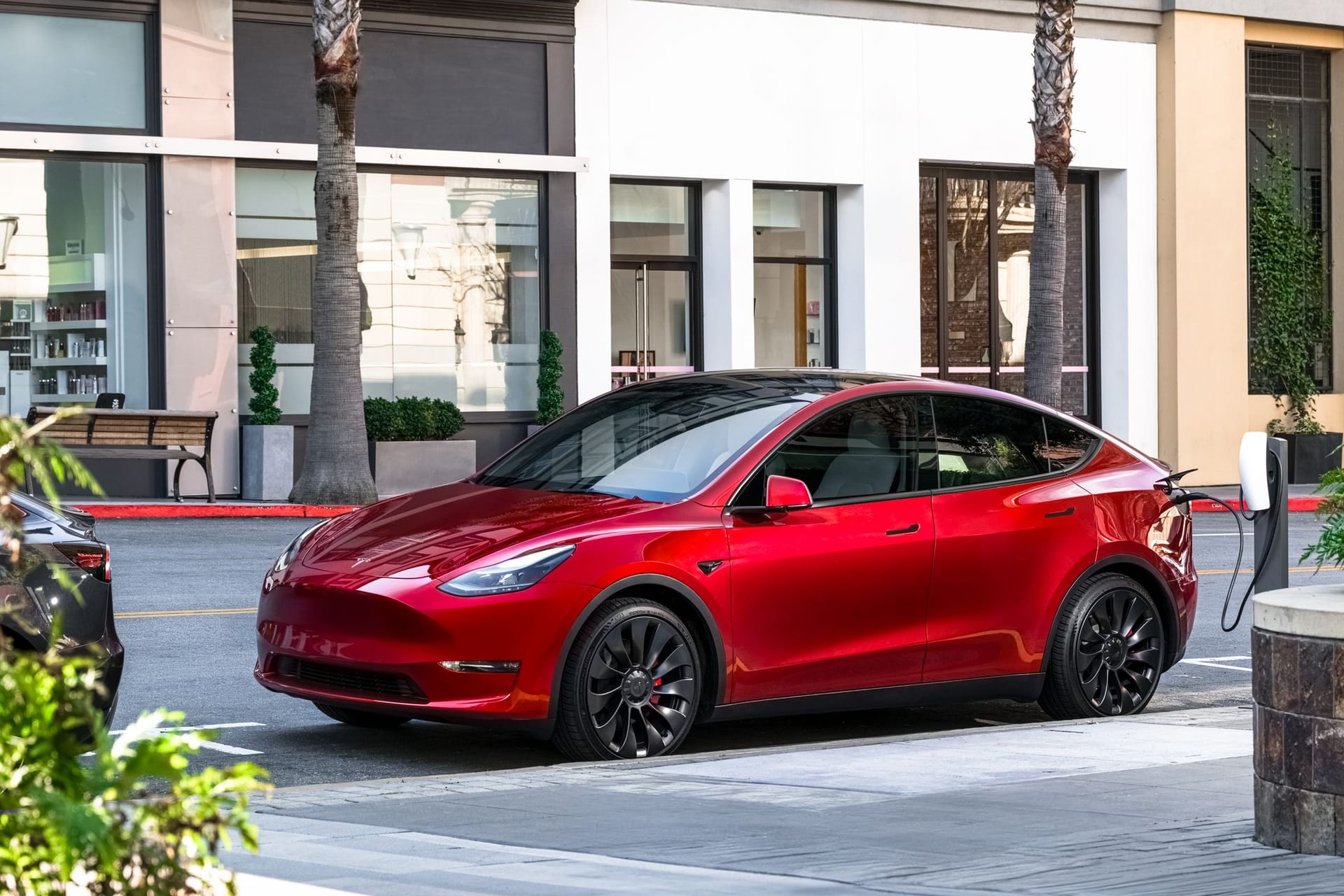 Tesla Model Y: Der neue Preisbrecher wird ein kleiner Ableger des Erfolgsmodells.