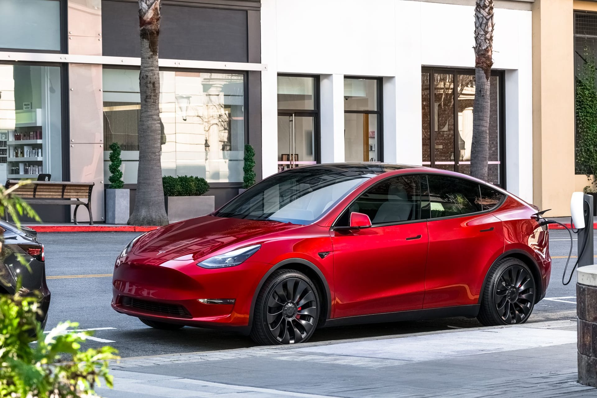 Tesla Model Y: Der neue Preisbrecher wird ein kleiner Ableger des Erfolgsmodells.