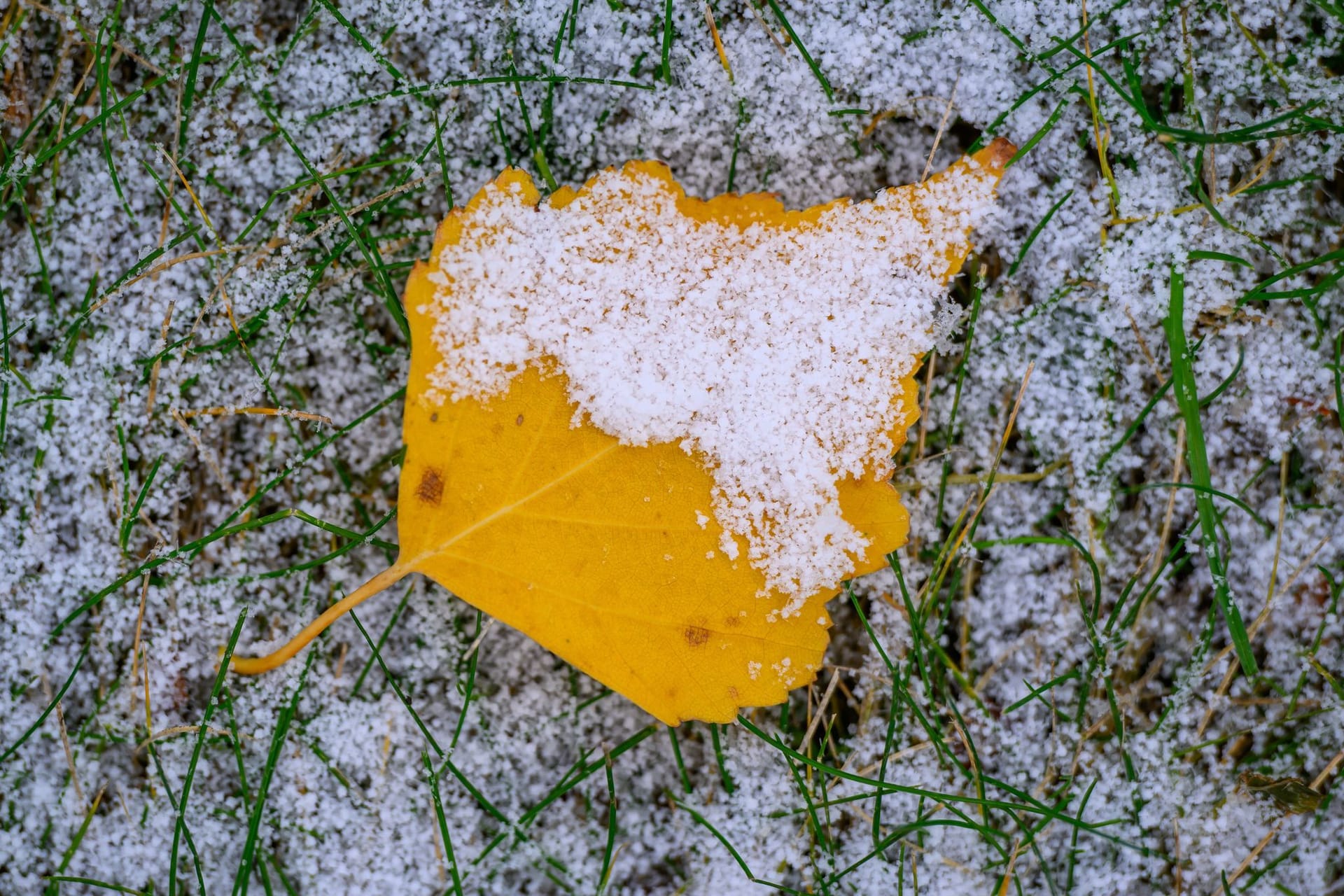 Winterwetter in Deutschland