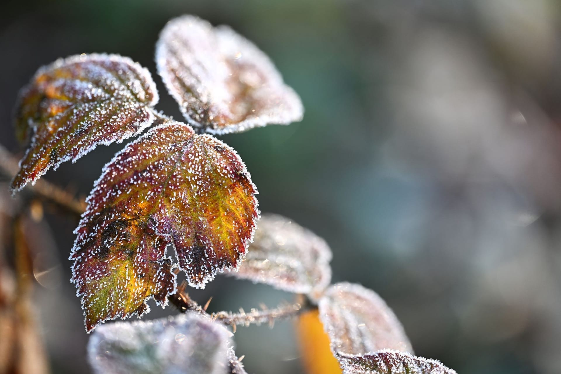 Niedrige Temperaturen - Wetter im Südwesten