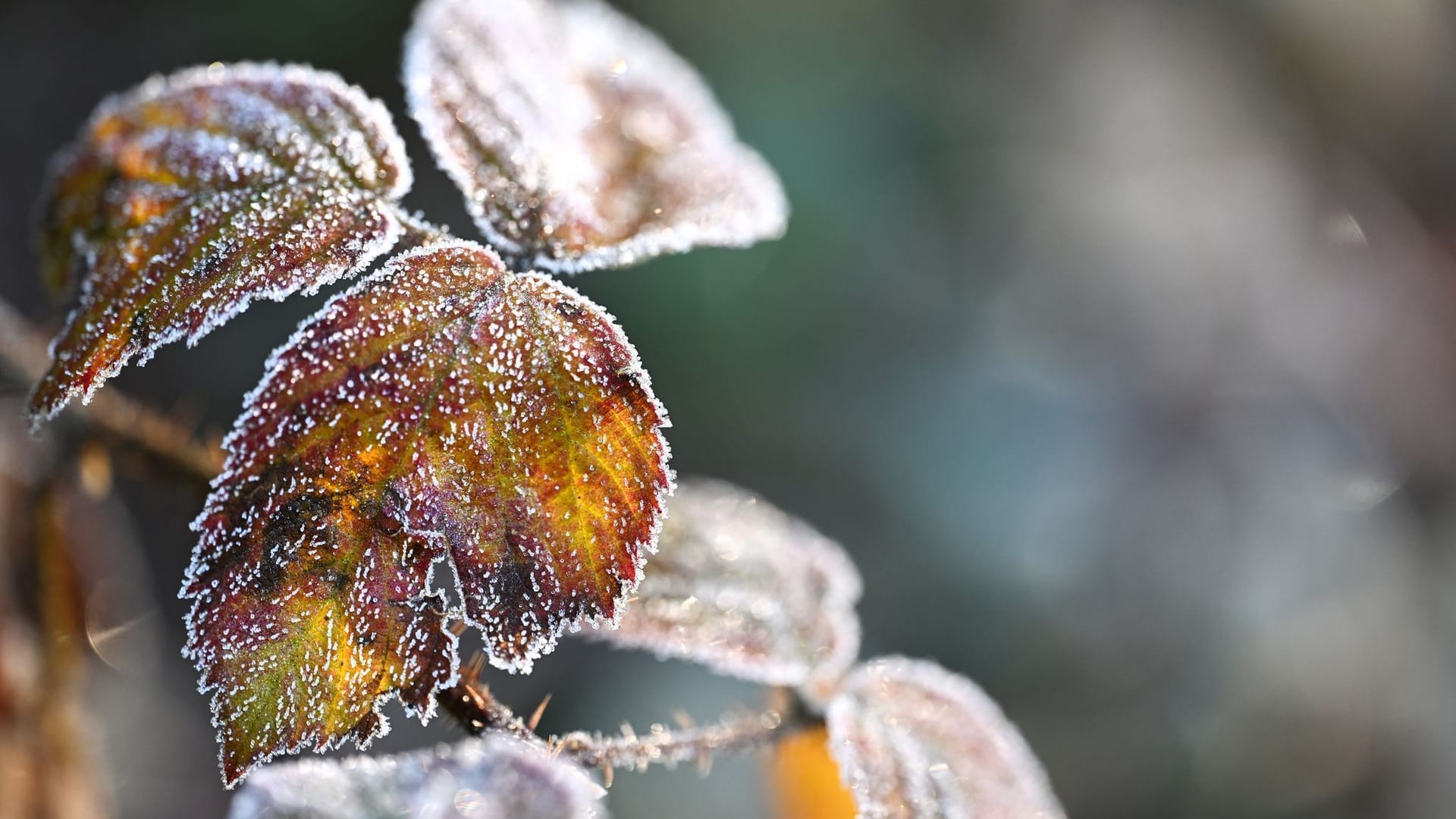 Niedrige Temperaturen - Wetter im Südwesten