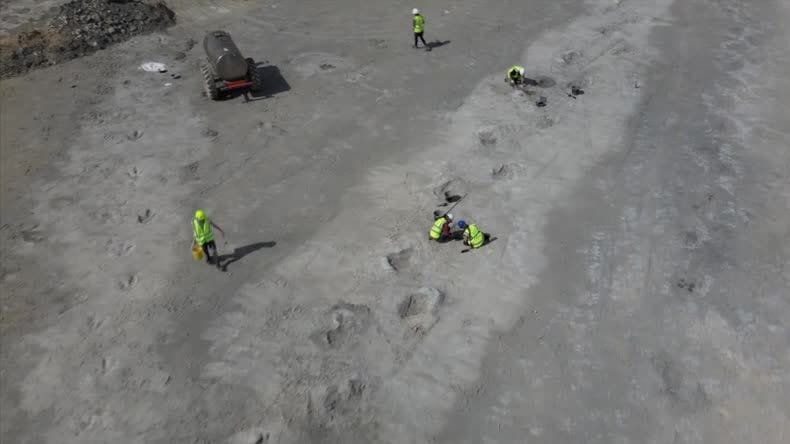 Forscher entdecken knapp 200 Dinospuren in einem Steinbruch.