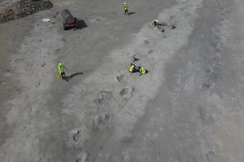 Forscher entdecken knapp 200 Dinospuren in einem Steinbruch.