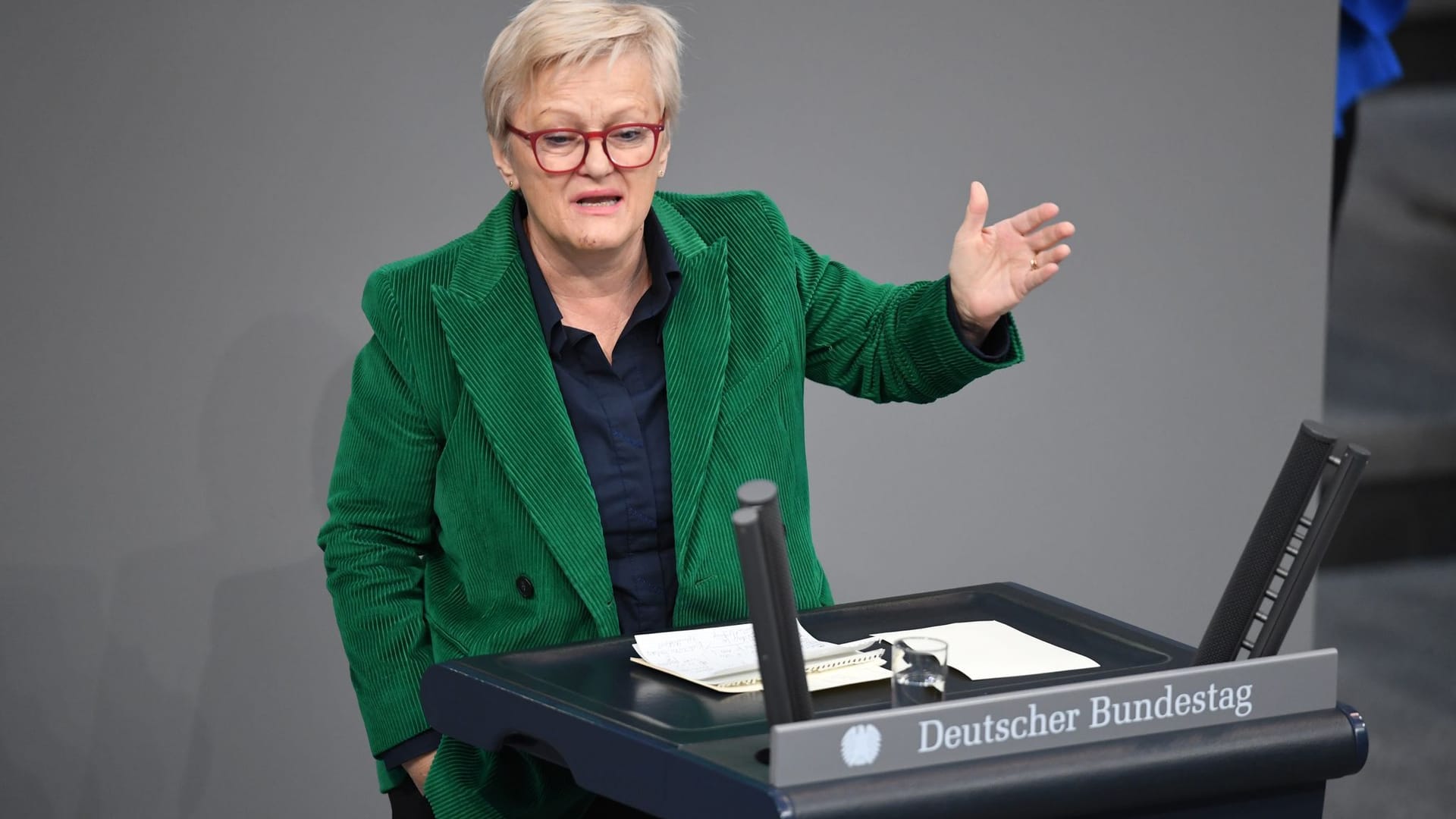 Renate Künast (Grüne)