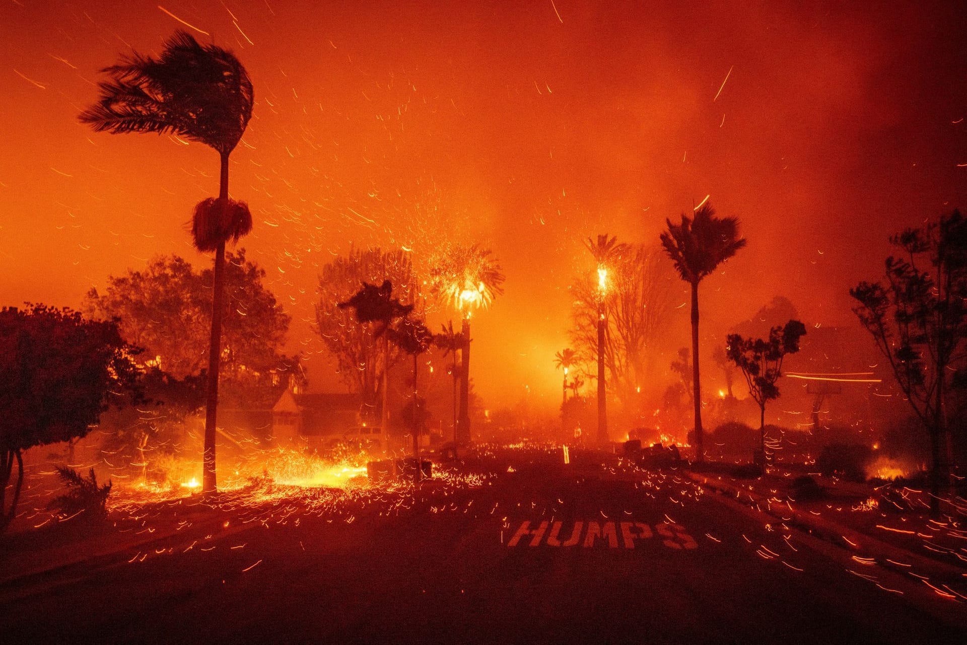 In Los Angeles wüten verheerende Feuer.