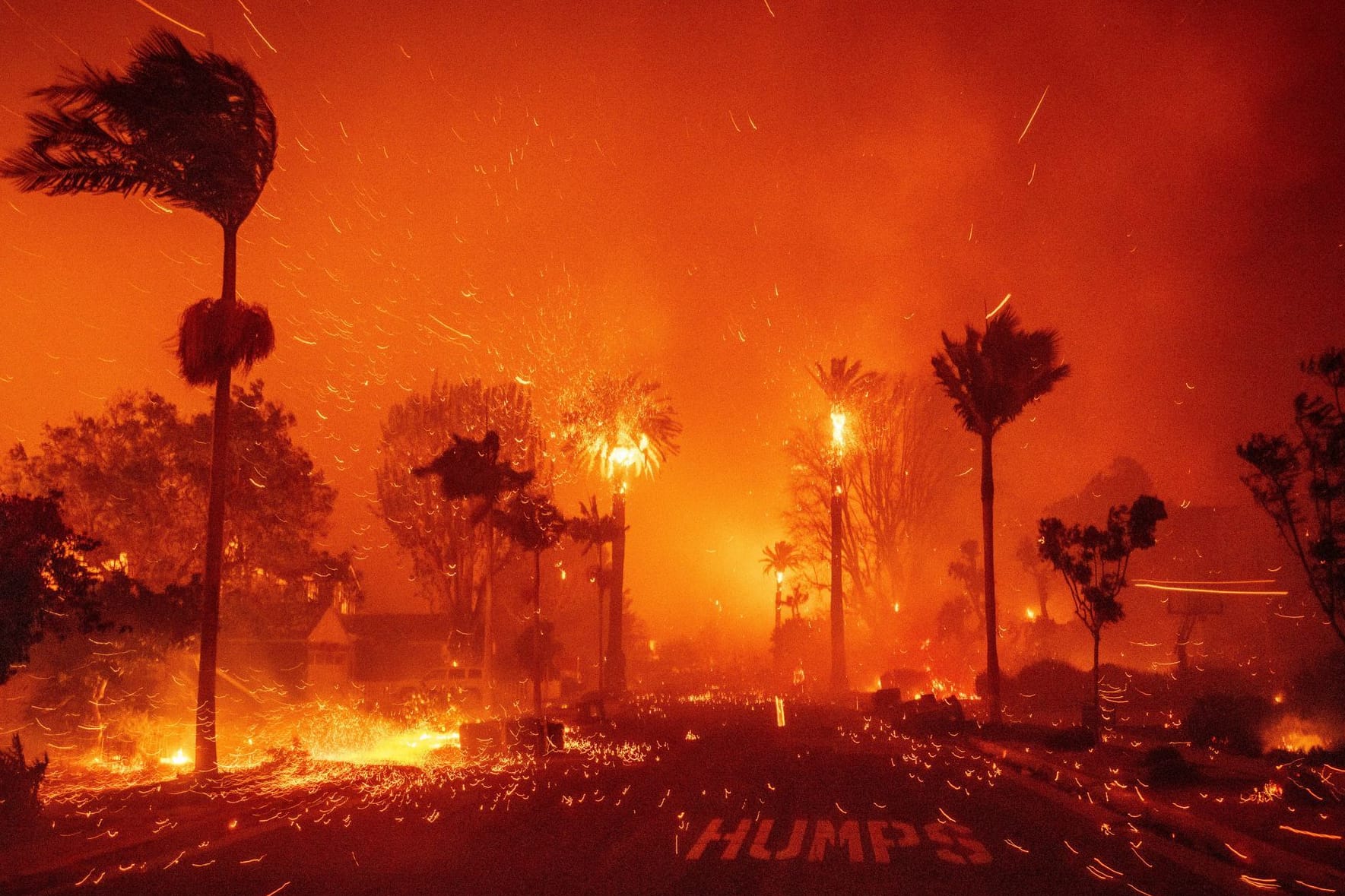 In Los Angeles wüten verheerende Feuer.