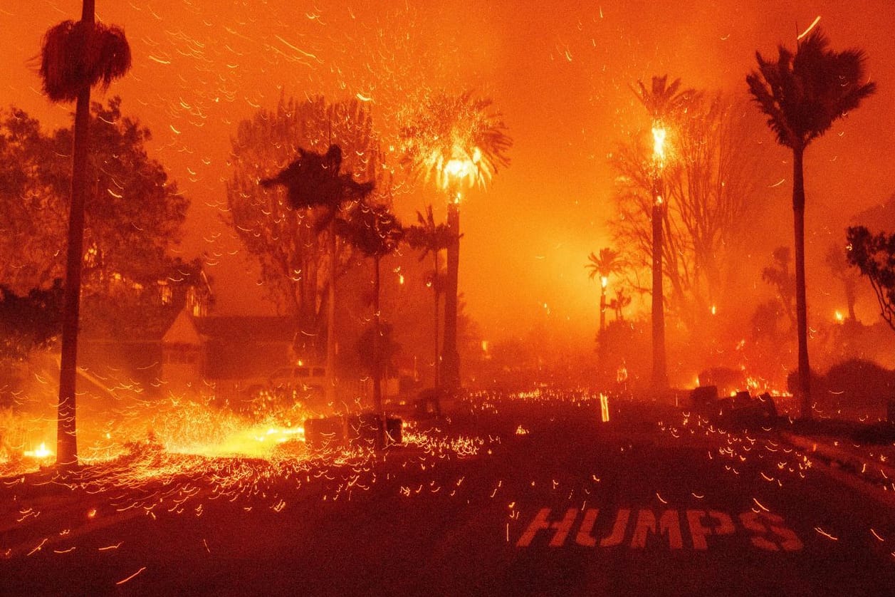 In Los Angeles wüten verheerende Feuer.