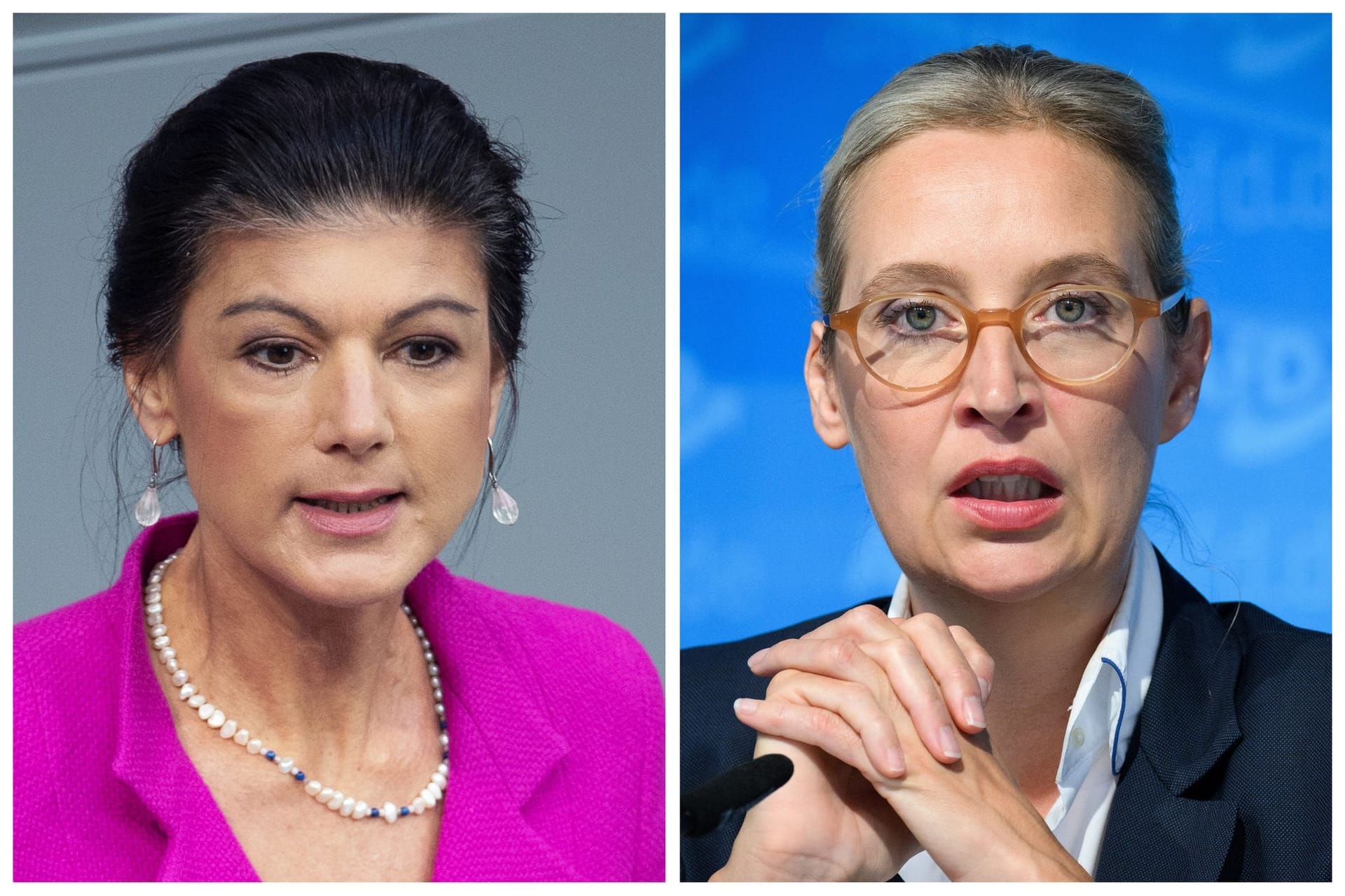 Politikerinnen Wagenknecht und Weidel