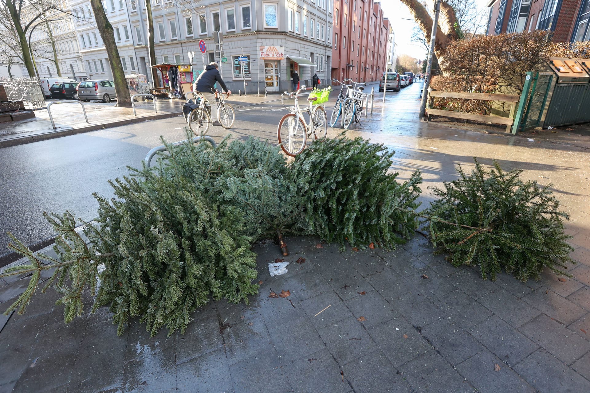 Ausrangierte Weihnachtsbäume liegen seit heute an vielen Straßenrändern in Hamburg zur Abholung bereit.