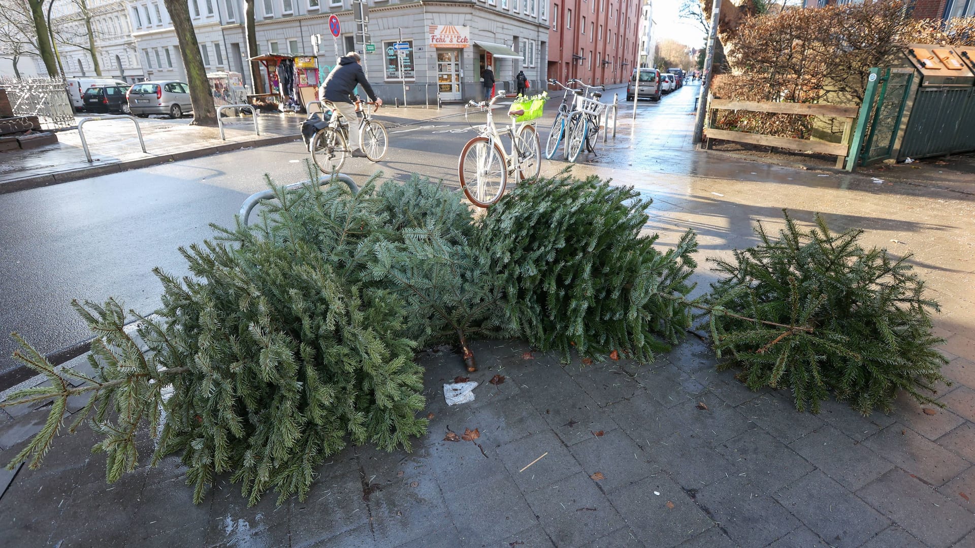 Ausrangierte Weihnachtsbäume liegen seit heute an vielen Straßenrändern in Hamburg zur Abholung bereit.