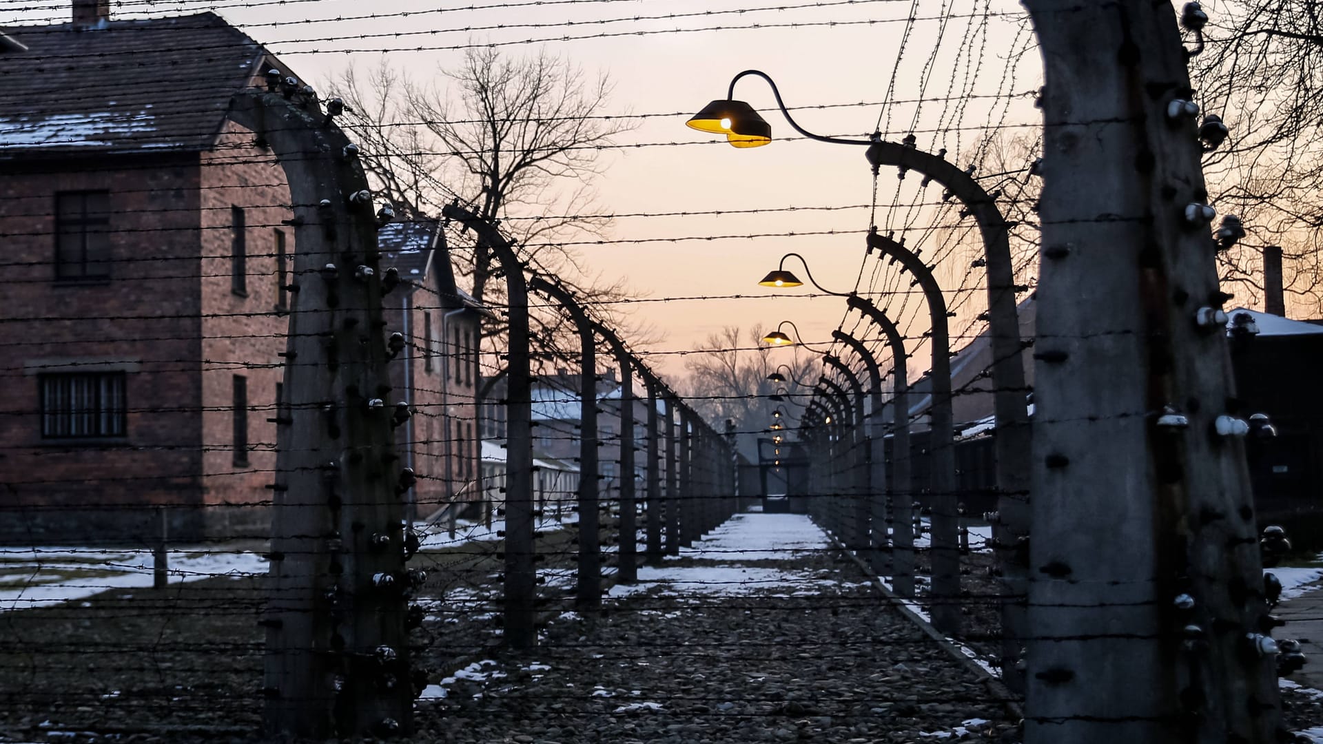 Gedenkstätte Auschwitz-Birkenau: An diesem Montag jährt sich die Befreiung des Konzentrationslagers durch sowjetische Soldaten zum 80. Mal.