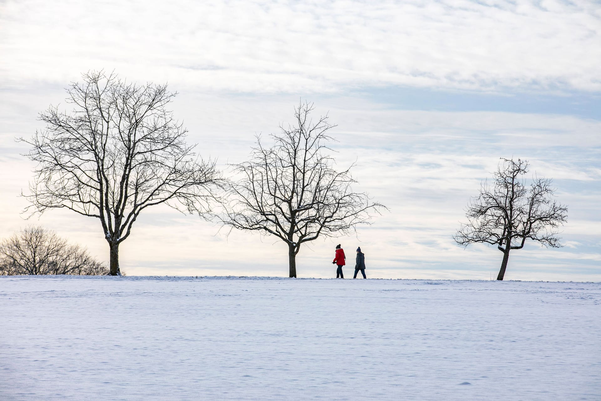 Winterzauber auf der Schwäbischen Alb (Archivbild): In den kommenden Tagen fallen die Temperaturen.