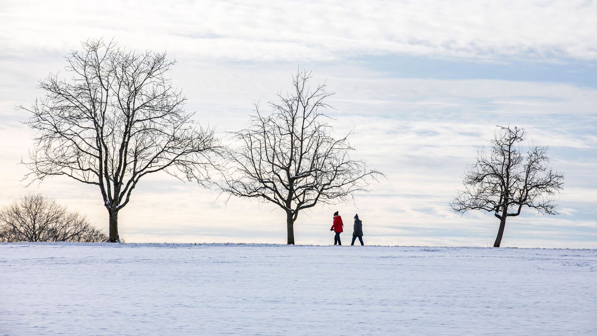 Winterzauber auf der Schwäbischen Alb (Archivbild): In den kommenden Tagen fallen die Temperaturen.