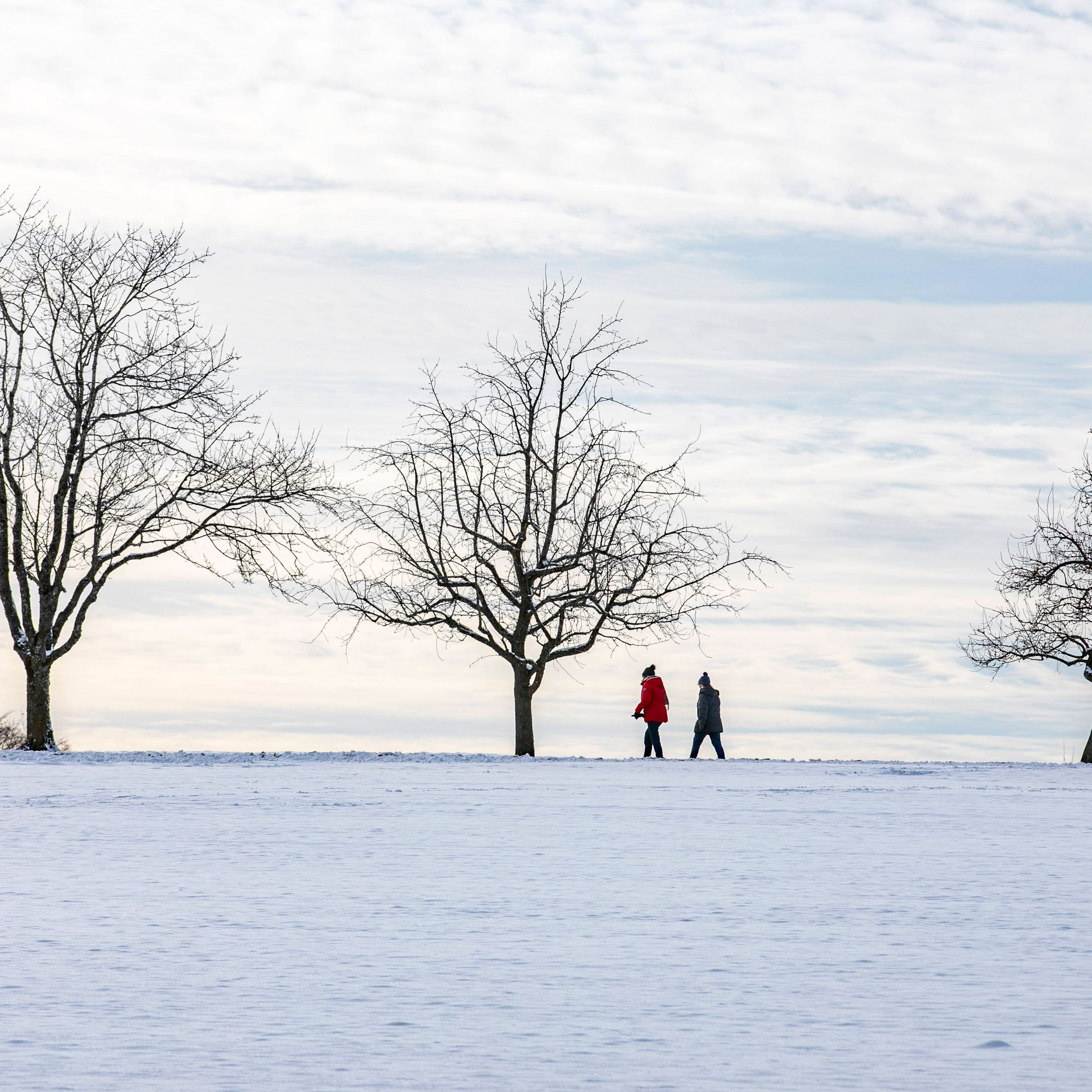 Winterzauber auf der Schwäbischen Alb (Archivbild): In den kommenden Tagen fallen die Temperaturen.