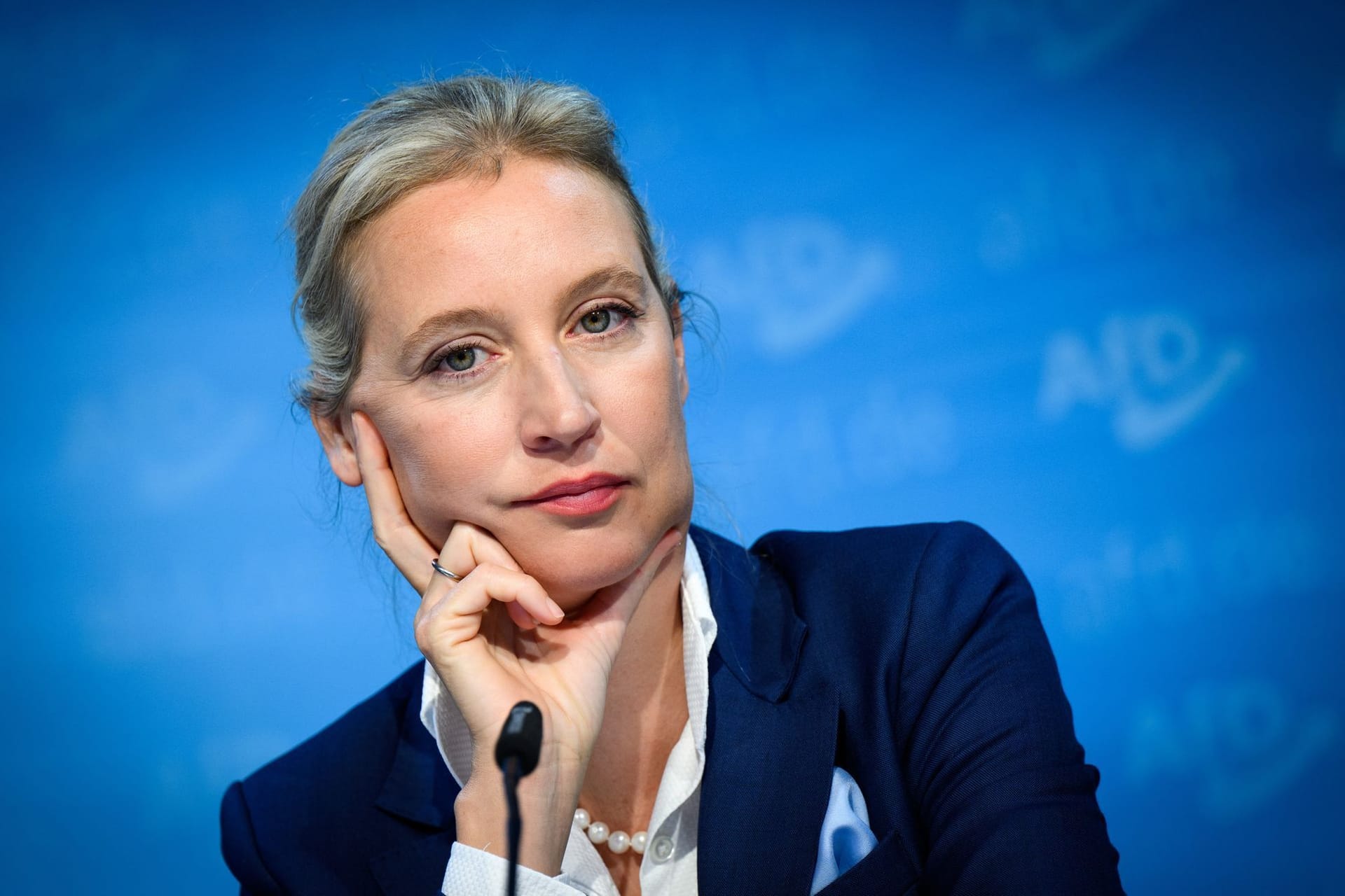 Alice Weidel: Die Bundesvorsitzende der AfD macht Friedrich Merz ein Angebot.