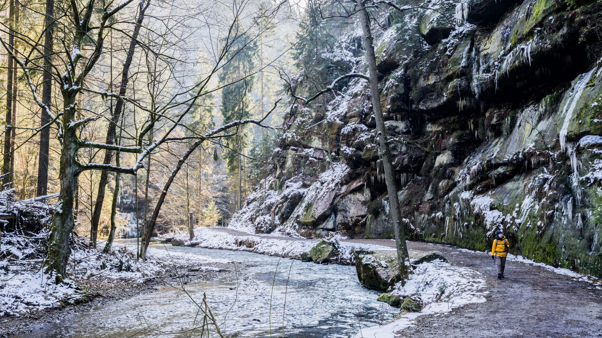 Der Polenztalweg verläuft größtenteils direkt am Flussufer: Zu beiden Seiten erheben sich imposante Felswände von über 100 Metern Höhe.