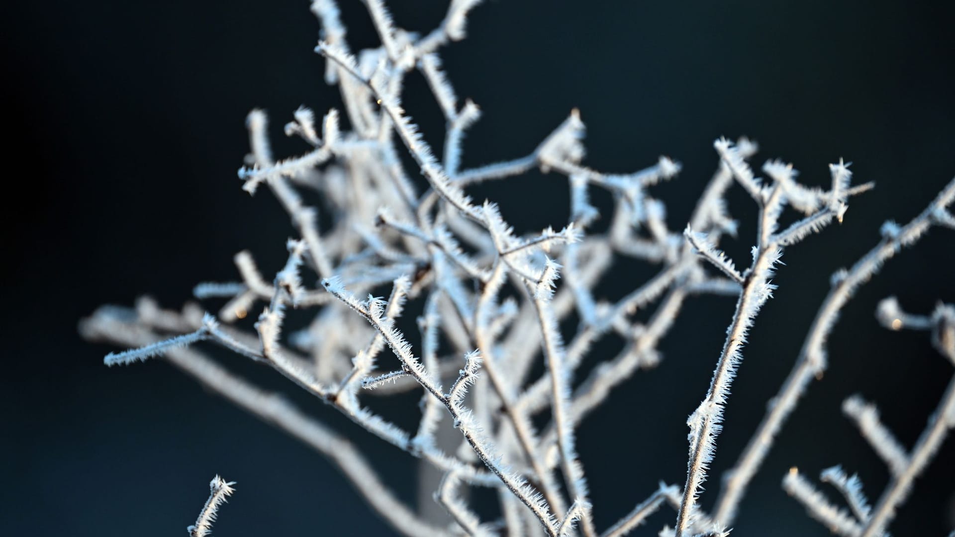 Winterwetter