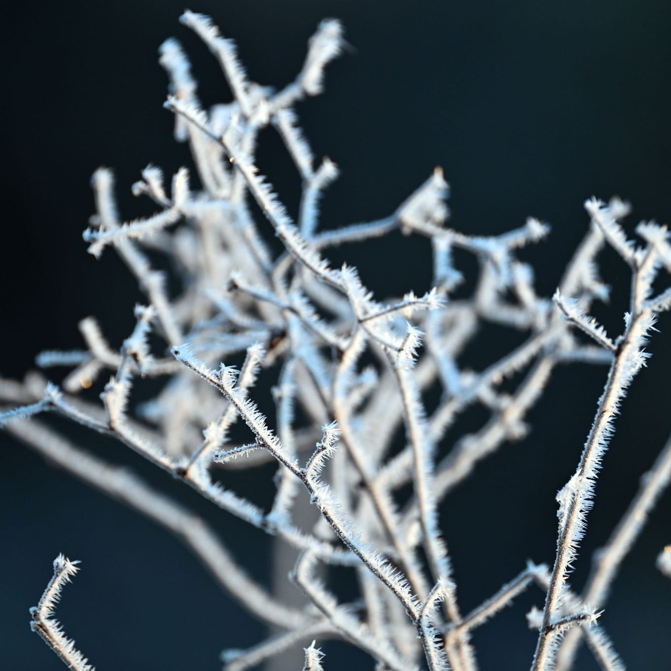 Winterwetter