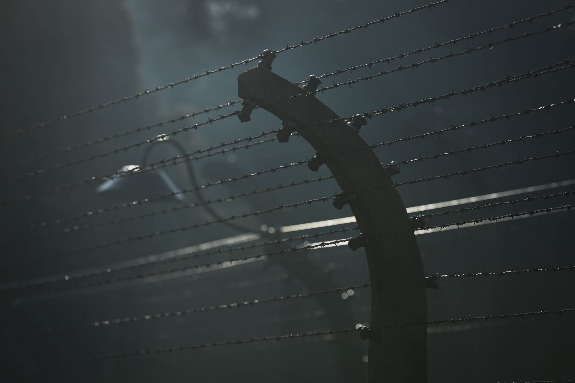 Das Konzentrationslager Auschwitz-Birkenau: Eddy de Winds erschütternde Aufzeichnungen aus dem Herz der Dunkelheit sind sein Vermächtnis.