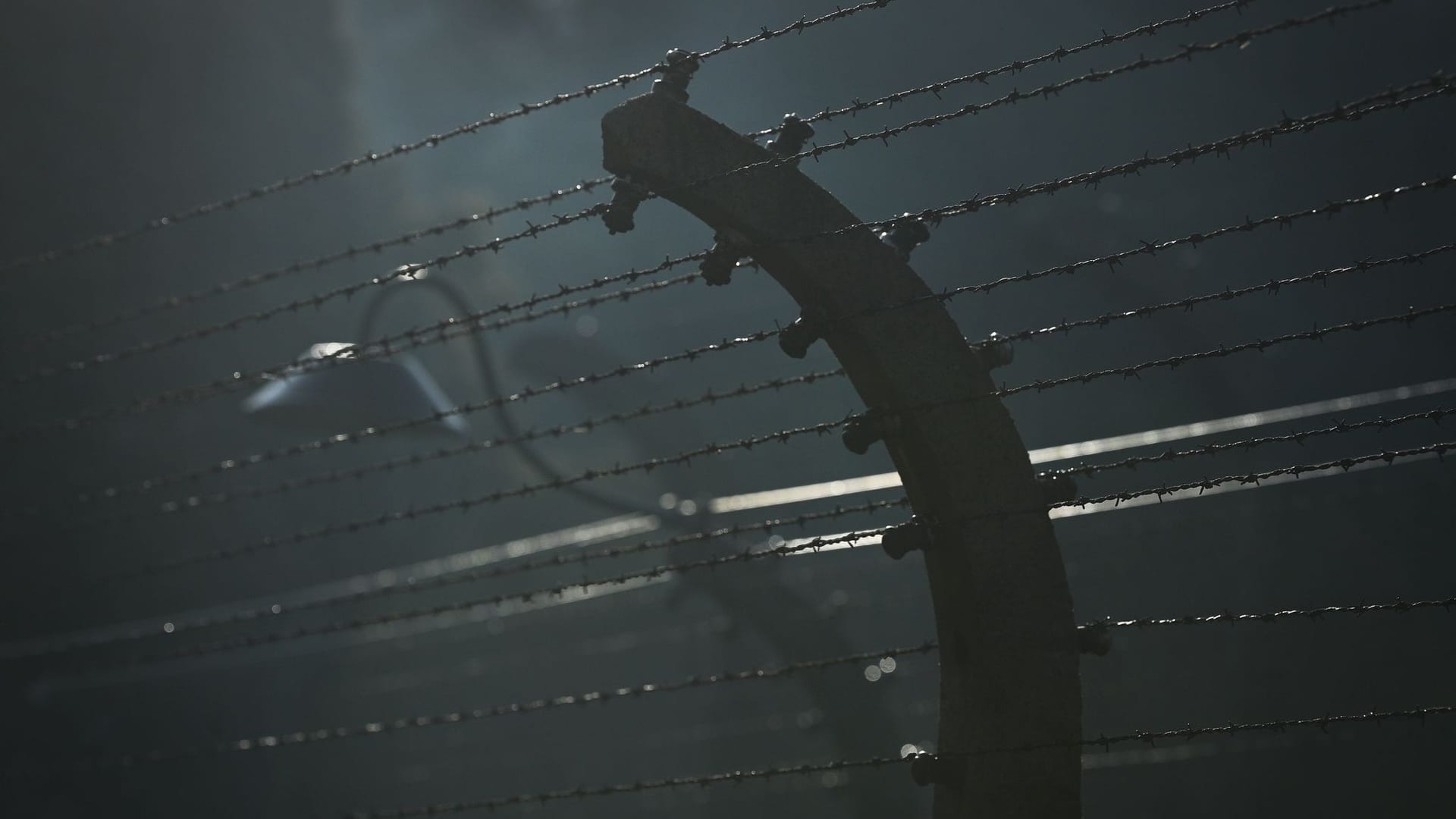 Das Konzentrationslager Auschwitz-Birkenau: Eddy de Winds erschütternde Aufzeichnungen aus dem Herz der Dunkelheit sind sein Vermächtnis.