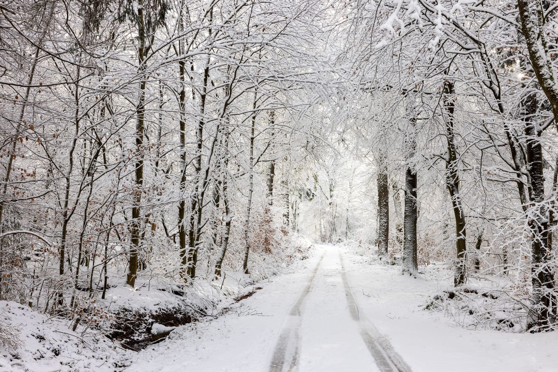 Eine verschneite Straße im Taunus. Deutschland erwarten bis zu 20 Zentimeter Neuschnee.