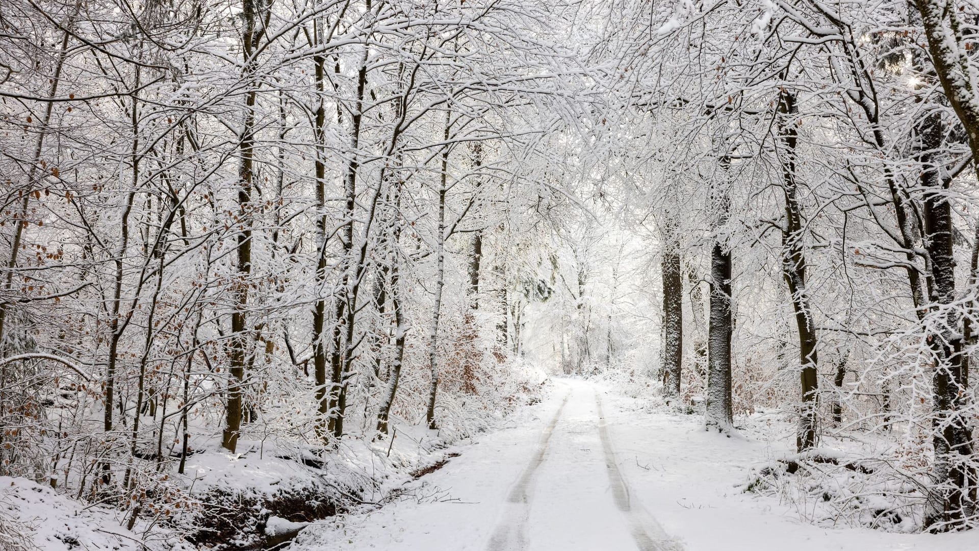 Eine verschneite Straße im Taunus. Deutschland erwarten bis zu 20 Zentimeter Neuschnee.