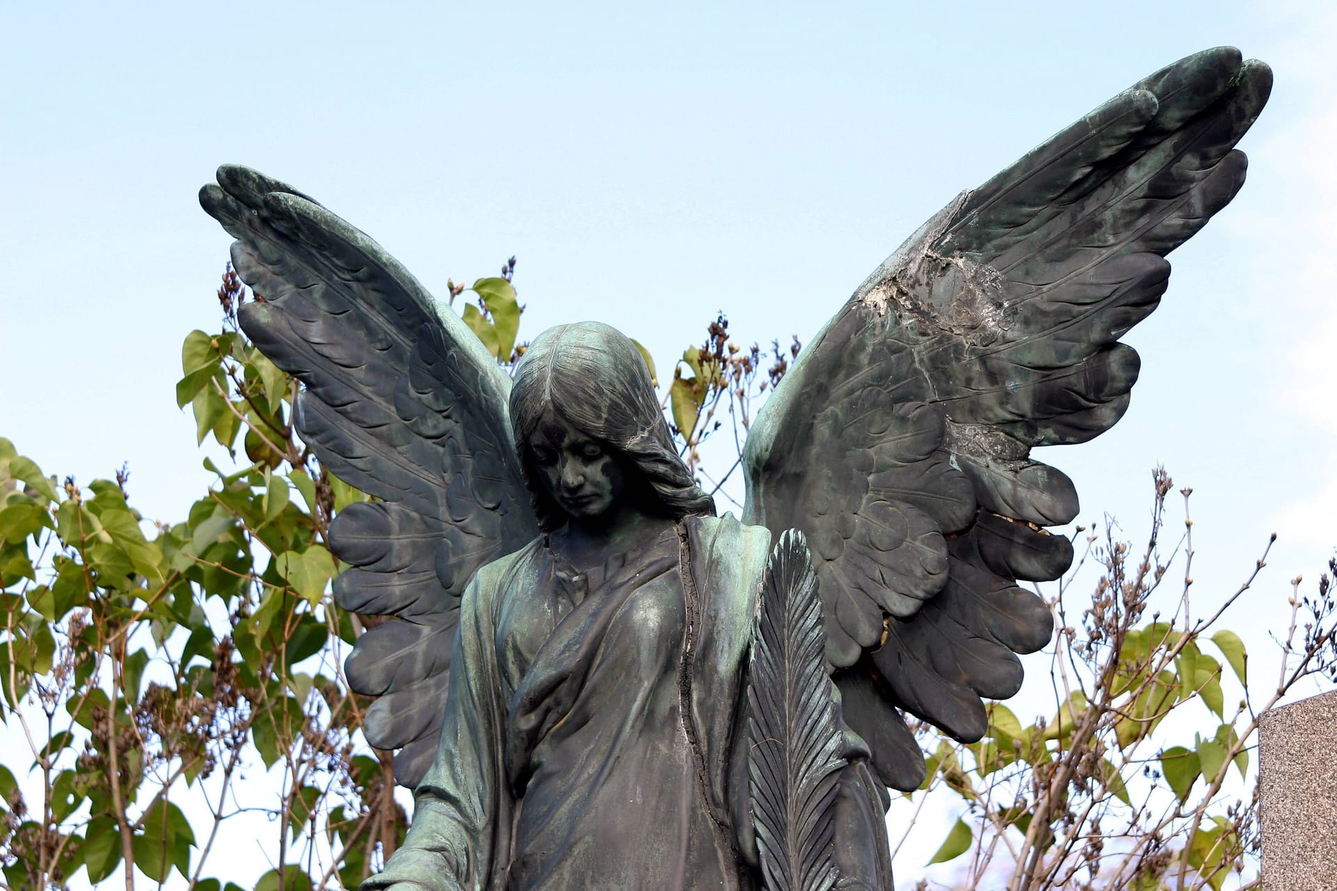 Engelsskulptur auf dem Hernalser Friedhof in Wien (Archivbild): Der Friedhofsmitarbeiter starb noch am Unglücksort.