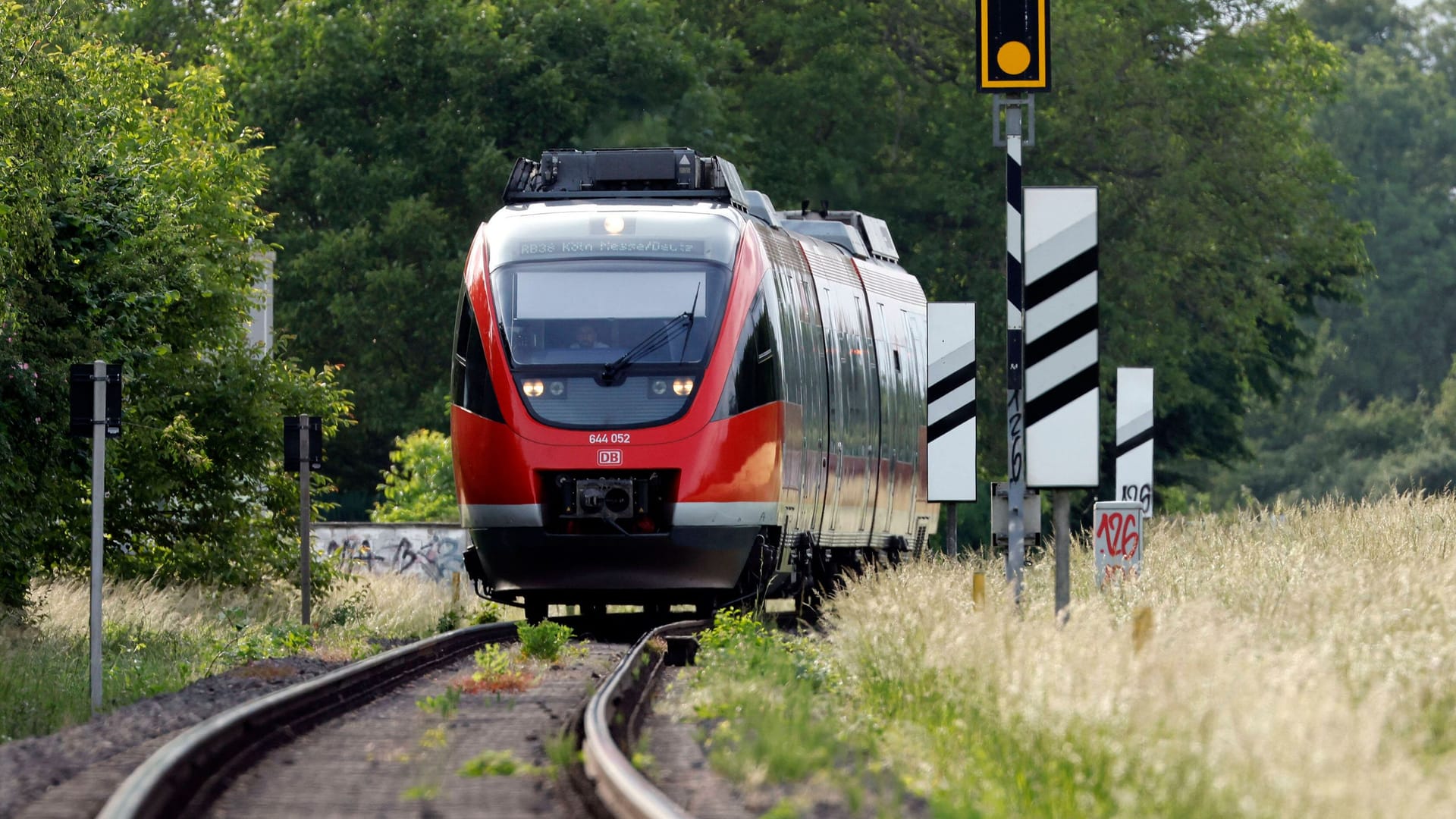 Regionalbahn (Symbolfoto): Der Hundebesitzer wurde bei dem Zusammenstoß getötet.