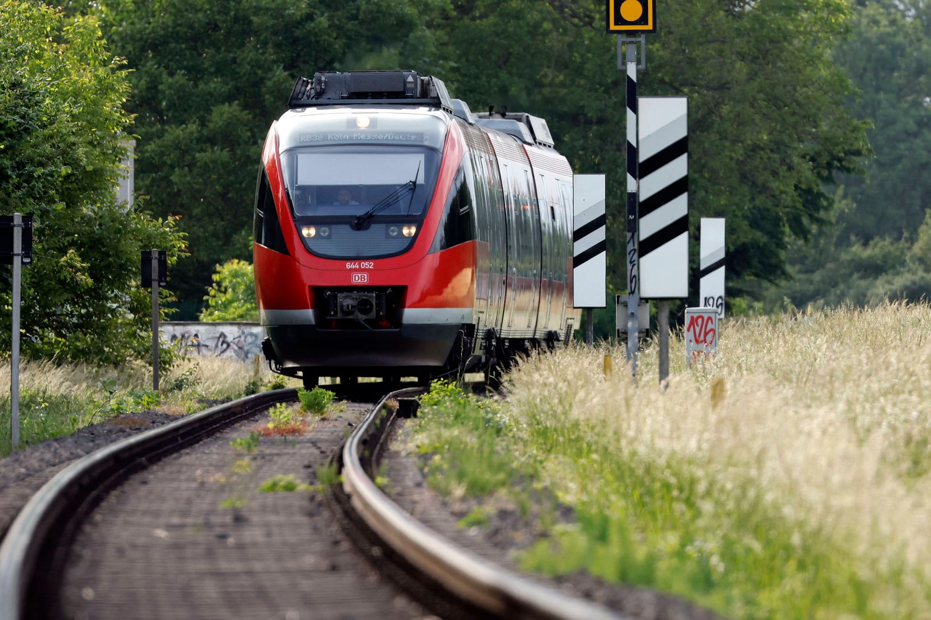 Regionalbahn (Symbolfoto): Der Hundebesitzer wurde bei dem Zusammenstoß getötet.