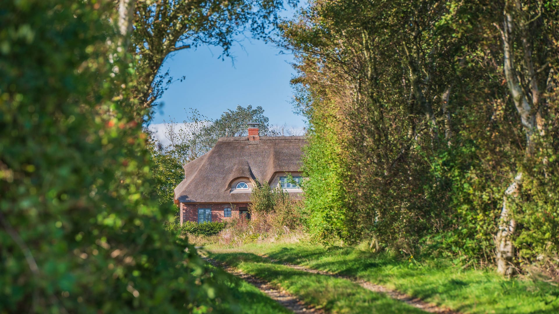 Ein Reetdachhaus (Symbolbild): In Niedersachsen werden viele hochpreisige Immobilien angeboten.