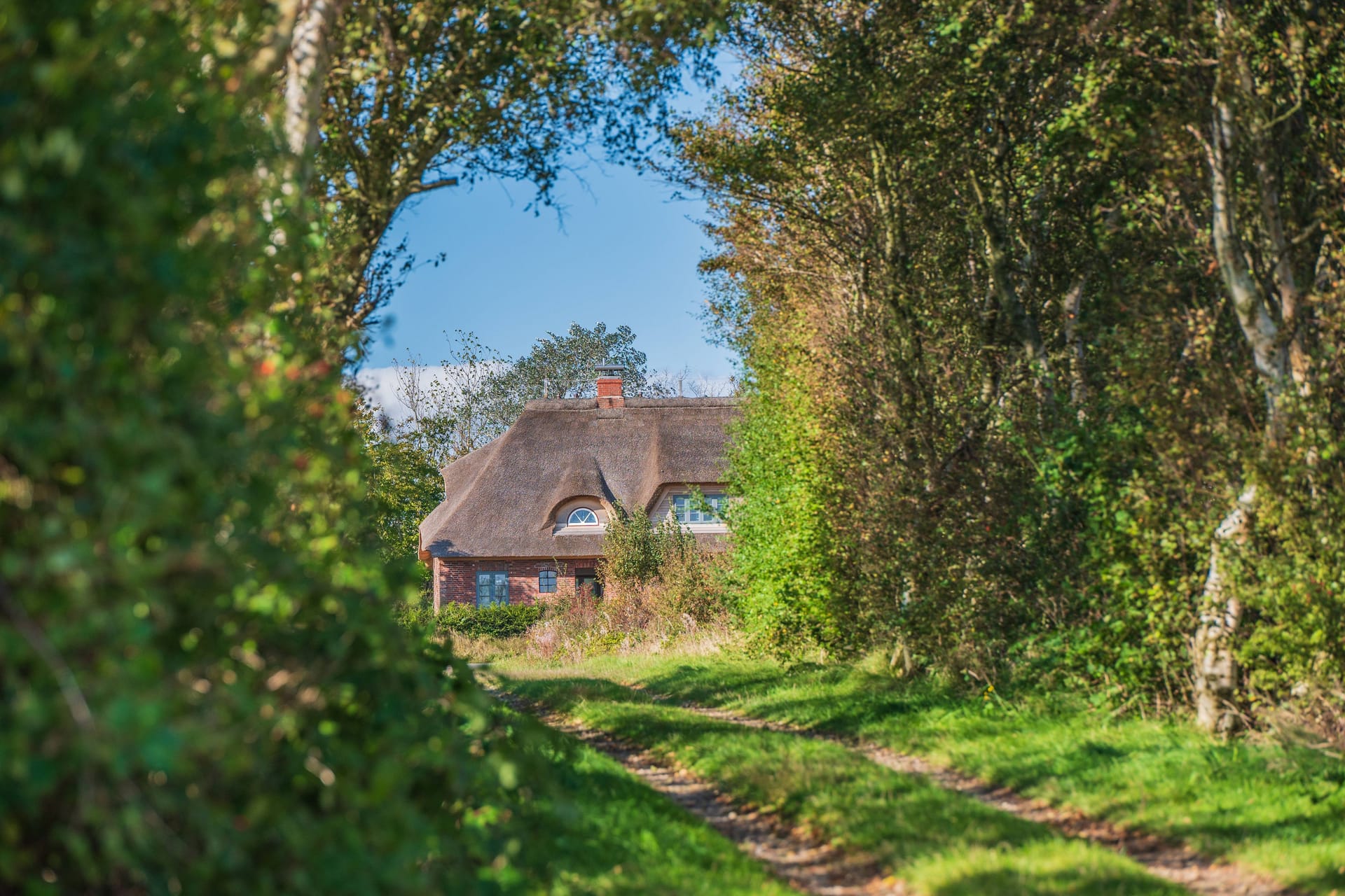 Ein Reetdachhaus (Symbolbild): In Niedersachsen werden viele hochpreisige Immobilien angeboten.